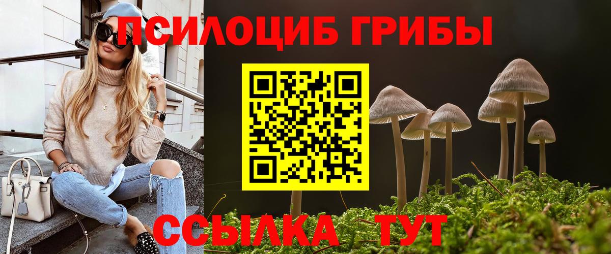 Галлюциногенные грибы GOLDEN TEACHER Воскресенск